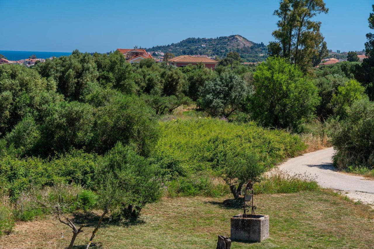 Casa Di Colona Studio Lixouri Bagian luar foto